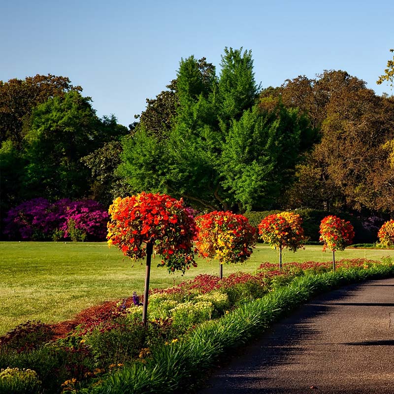 Jardinier Seine-Maritime